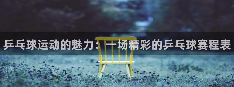 乒乓球运动的魅力：一场精彩的乒乓球赛程表