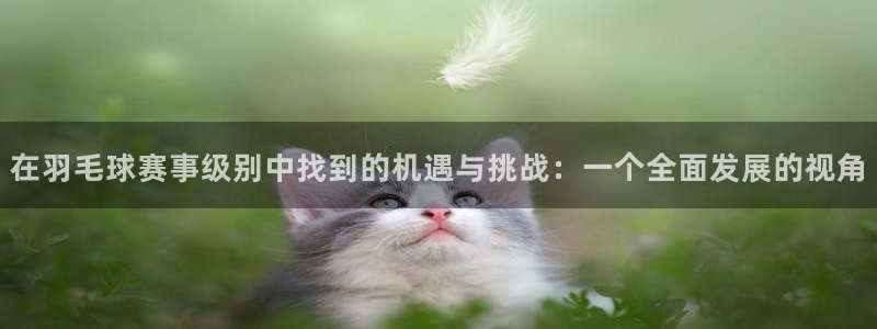 在羽毛球赛事级别中找到的机遇与挑战：一个全面发展的视角