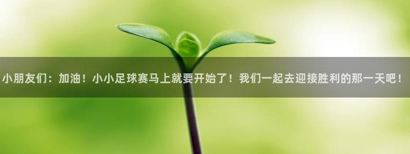 球速体育俱乐部：小朋友们：加油！小小足球赛马上就要开始了！我
