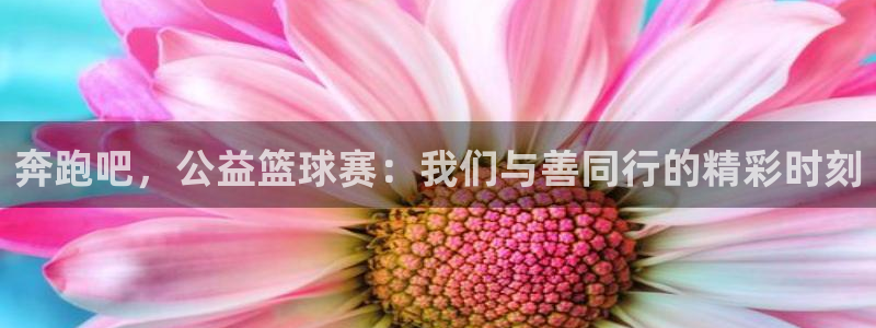 球速体育是什么：奔跑吧，公益篮球赛：我们与善同行的精彩时刻