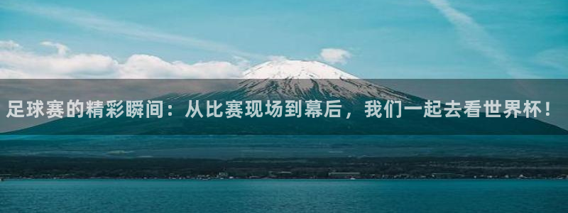球速体育app手机版入口在哪