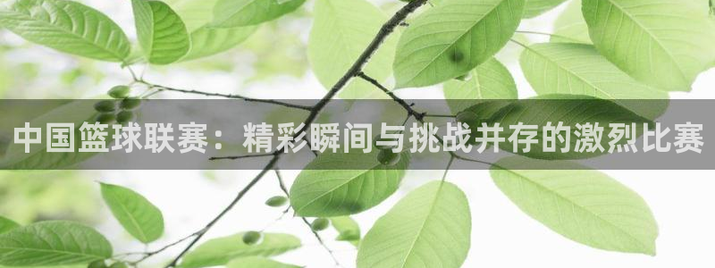 球速体育PG