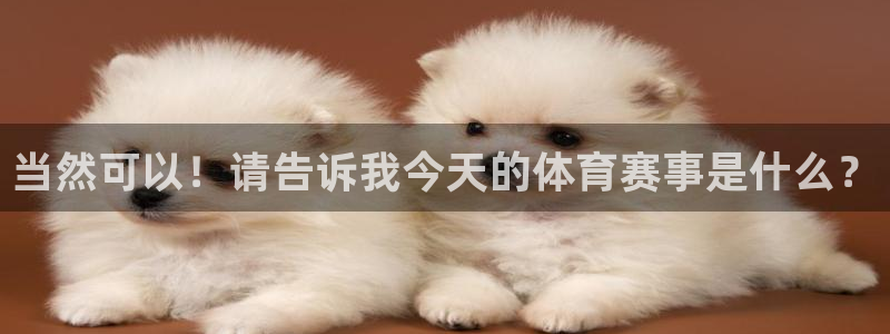 球速体育app官网入口