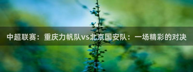 球速体育平台：中超联赛：重庆力帆队vs北京国安队：一场精彩的