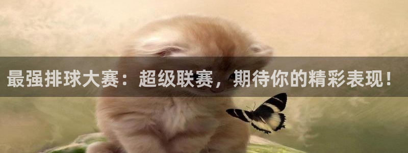 球速体育APP下载入口：最强排球大赛：超级联赛，期待你的精彩