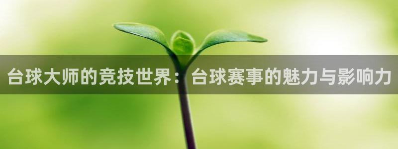 球速体育官网：台球大师的竞技世界：台球赛事的魅力与影响力