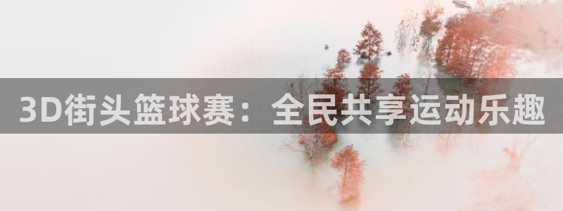 球速体育官方网站：3D街头篮球赛：全民共享运动乐趣